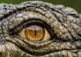 create custom ai art and concept art based on your text